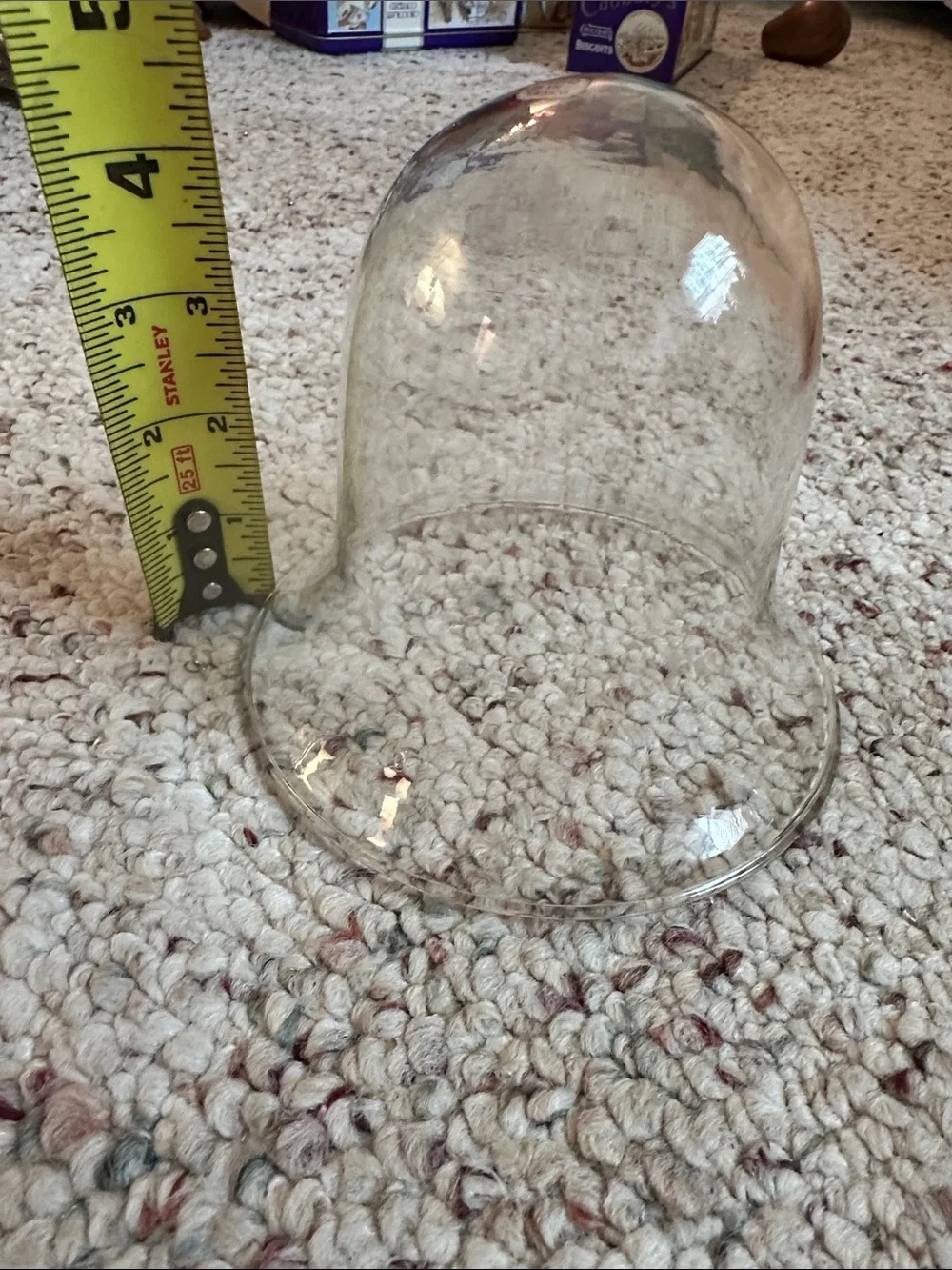Clear Glass Display Dome - Transparent Bell Cloche- made in Mexico